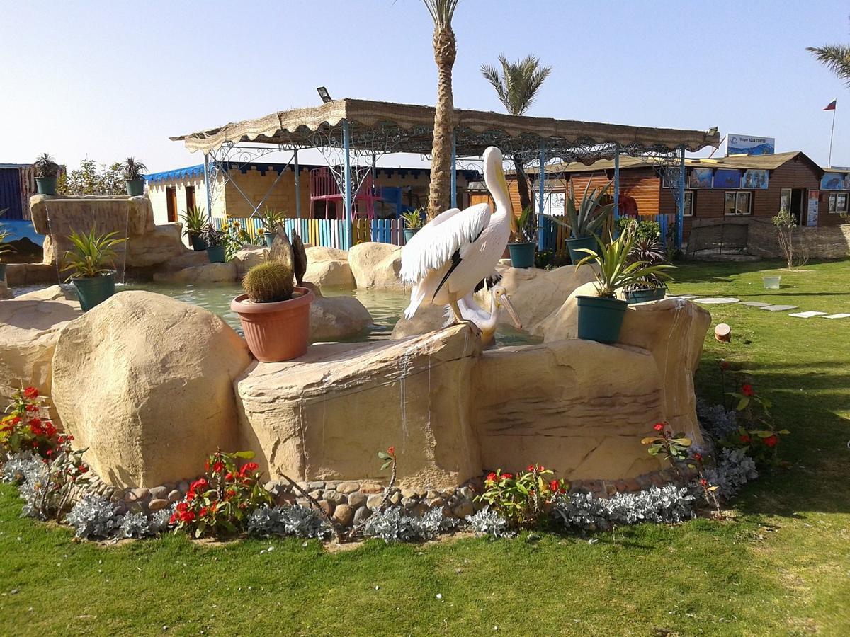Hotel Hawaii Riviera Club Aqua Park - Families And Couples Only à Hurghada Extérieur photo